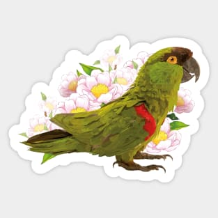 mountain parrot Sticker